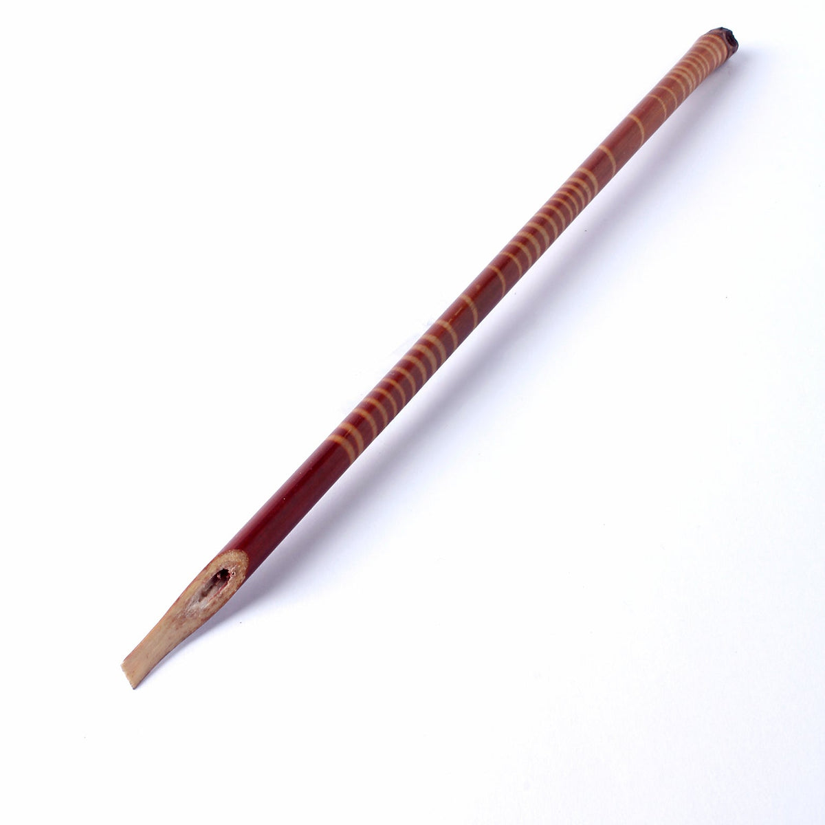 Natural Iranian disfoli reed.