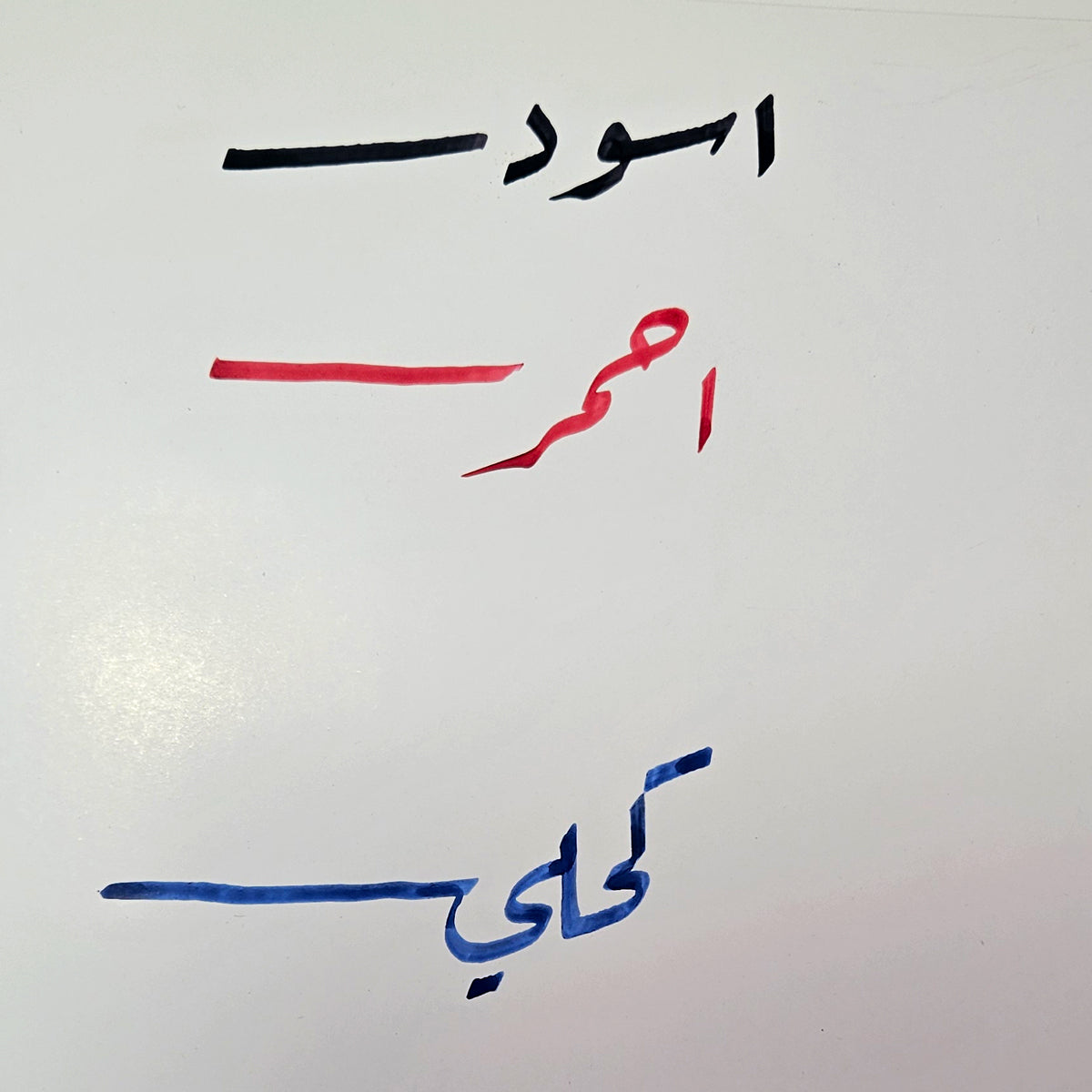زجاجة حبر جينهاو جولد ليف 50 مل، مناسبة لجميع أقلام الحبر والأقلام الغاطسة، لون كتابة سلس